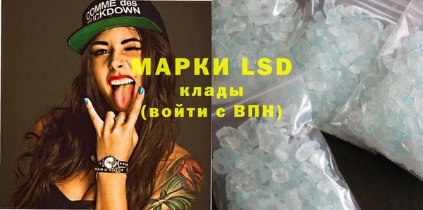 стаф Богданович
