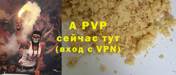 ECSTASY Белокуриха
