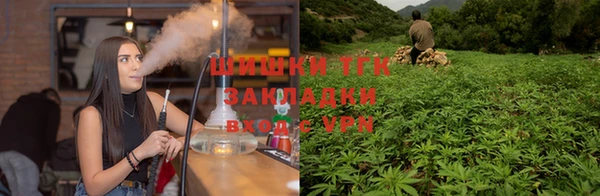 ECSTASY Белокуриха