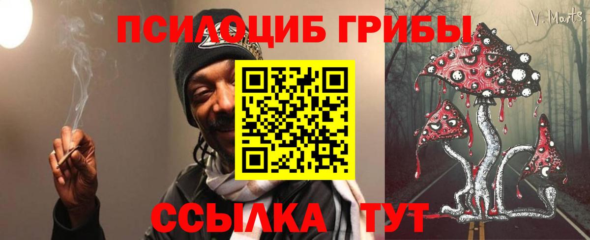 Свободный  Галлюциногенные грибы Psilocybe  Псилоцибиновые грибы Cubensis  Вход с VPN 